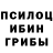 Псилоцибиновые грибы прущие грибы Ibo_nefig
