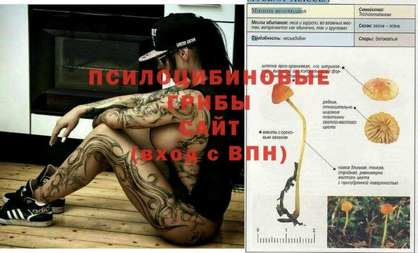 эйфоретик Армянск