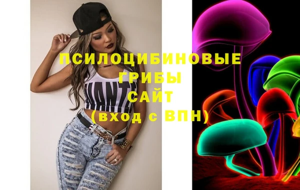 меф Арсеньев