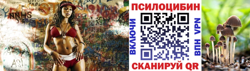 где купить наркоту МЕГА tor Галлюциногенные грибы GOLDEN TEACHER Осташков
